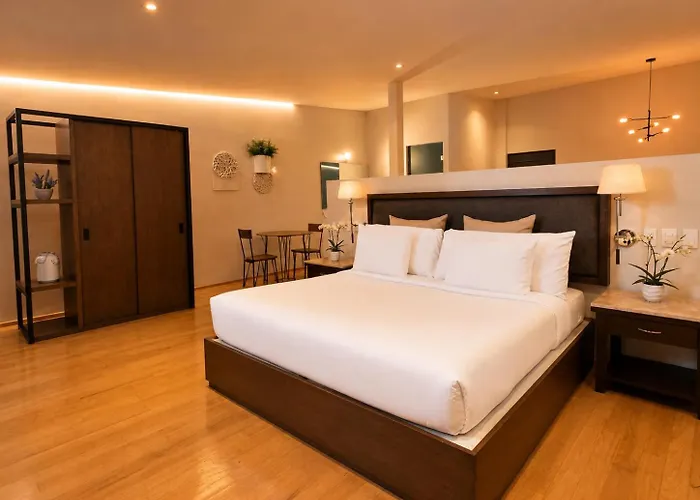 Tasso House Mexico City